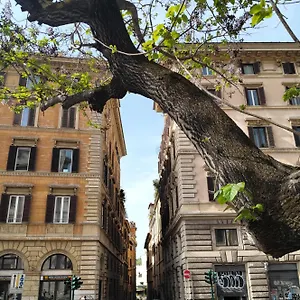 Vatican Near Sweet Terrace , Roma Italia